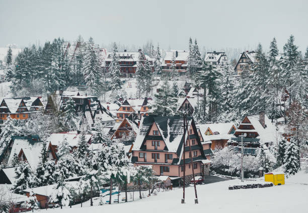 Большое Рождественское путешествие в Беларусь: города, пущи, замки