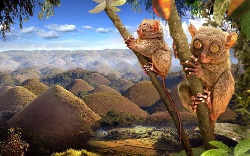 Гонконг-Себу-Бохоль-Пуэрто Принцесса-Эль Нидо-Боракай