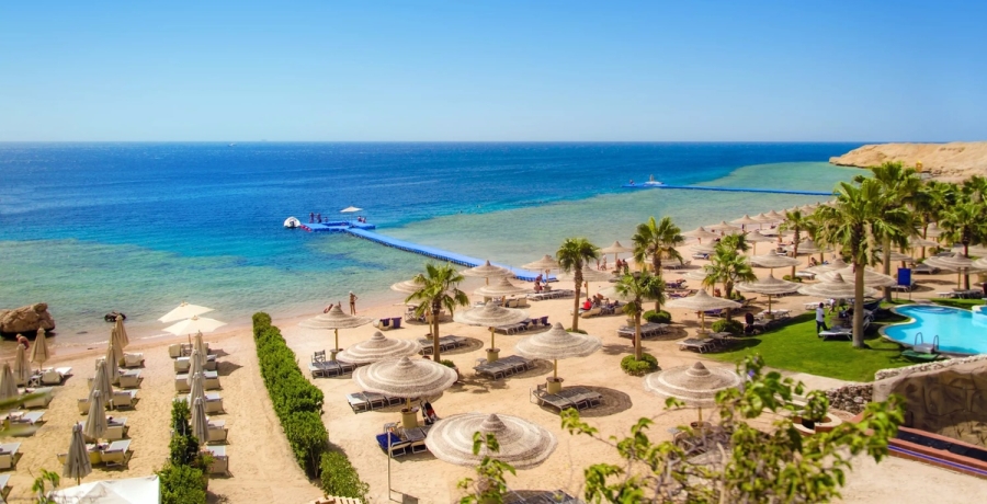 Купить тур в Шарм Эль Шейх
