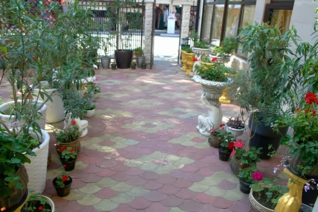 Гостиница Афина