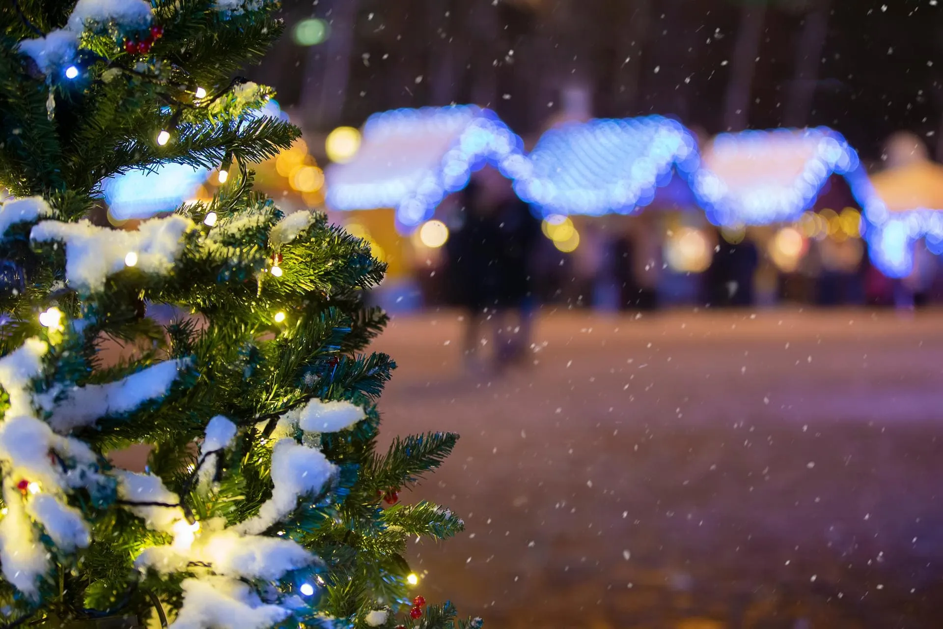 Новогодняя сказка в Крыму