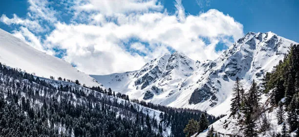 Новогодний тур. "От Дагестана до Чечни"