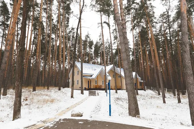 Новый год 2020 в Лесном корпусе